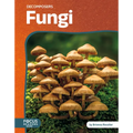 Fungi
