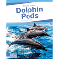 Dolphin Pods