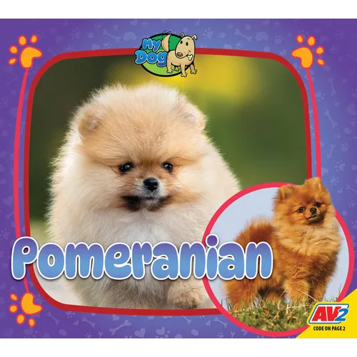 Pomeranian