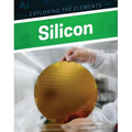 Silicon