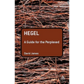Hegel: A Guide for the Perplexed