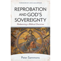 Reprobation and God's Sovereignty: Redeeming a Biblical Doctrine