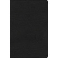 CSB Everyday Study Bible, Black Bonded Leather
