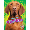 Vizslas