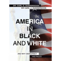 America in Black and White: And Why Democracy Has Failed