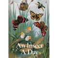 An Insect a Day