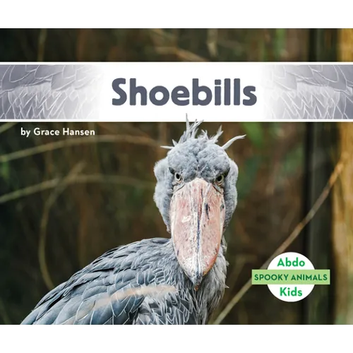 Shoebills