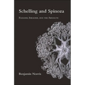 Schelling and Spinoza: Realism, Idealism, and the Absolute
