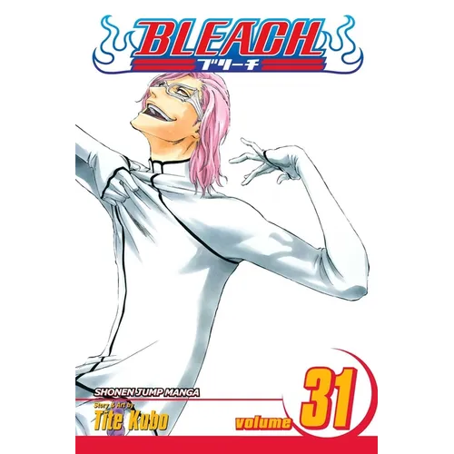 Bleach, Vol. 31