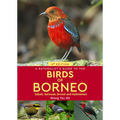 A Naturalist's Guide to the Birds of Borneo