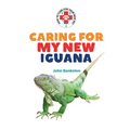 Caring for My New Iguana