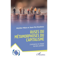 Ruses ou métamorphoses du capitalisme: L'entreprise en charge du bien commun
