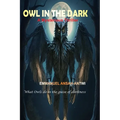 Owl in the Dark