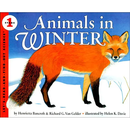 Animals in Winter - Hardcover