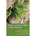 The Ferns and Fern Allies of New Mexico