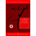 Glimpse After Glimpse: Daily Reflections on Living and Dying