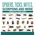 Spiders, Ticks, Mites, Scorpions and More Insects for Kids - Arachnid Edition Children's Bug & Spider Books