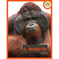 El Orangután: Spanish Edition