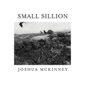Small Sillion