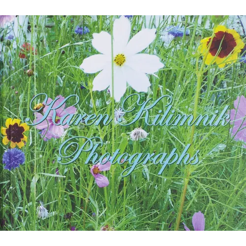 Karen Kilimnik: Photographs
