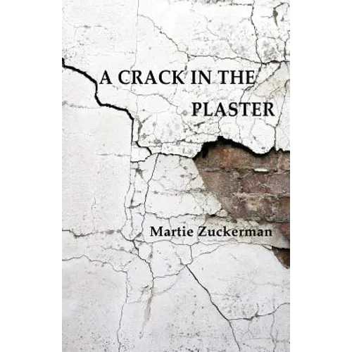 A Crack in the Plaster