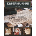Freedom Gone: Embroidered Quilts of Slave Life in the Civil War