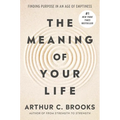 The Meaning of Your Life: Finding Purpose in an Age of Emptiness