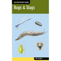 Bugs & Slugs