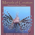 Sensational Sea Creatures