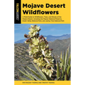 Mojave Desert Wildflowers