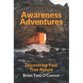 Awareness Adventures: Discovering Your True Nature
