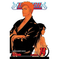 Bleach, Vol. 74