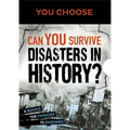 You Choose: Can You Survive Disasters in History? Boxed Set