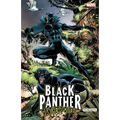 Black Panther: Panther's Quest