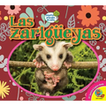 Las Zarigüeyas (Opossums)