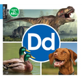DD