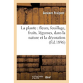 La Plante: Fleurs, Feuillage, Fruits, Légumes, Dans La Nature Et La Décoration