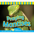 Praying Mantises
