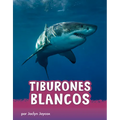 Tiburones Blancos (Great White Sharks)