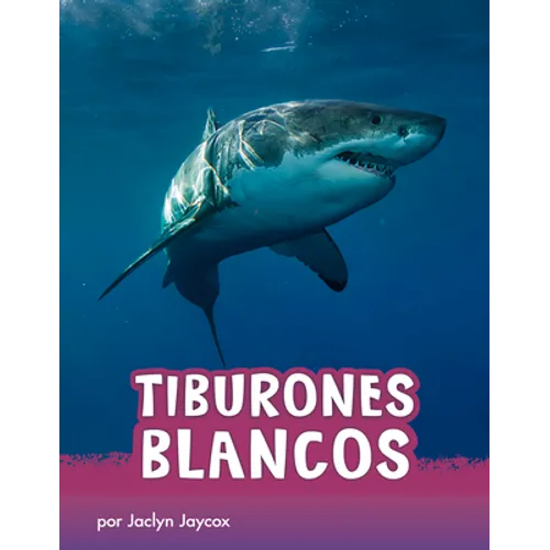 Tiburones Blancos (Great White Sharks)