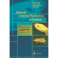 Atlante Di Anatomia Macroscopica Dei Vertebrati