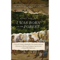 I Was Born in the Forest: A Traveler's Guide to Quilombos, the Citadels of African Resistance to Slavery in Portuguese America, and a Story of Black S