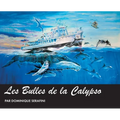 Les Bulles de la Calypso: Artiste Dominique Serafini