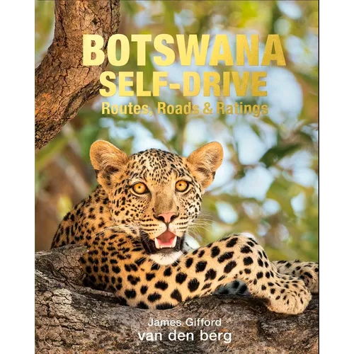 Botswana Self-Drive: Routes, Roads and Ratings