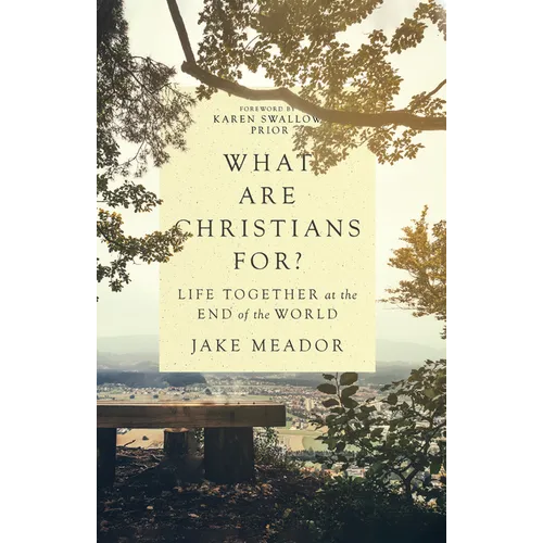 What Are Christians For?: Life Together at the End of the World