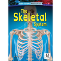 The Skeletal System