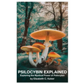 Psilocybin Explained: Exploring the Mystical Power of Psilocybin