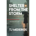 Shelter From The Storm: A Terry Eckhart Detective Novel