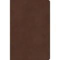 CSB Rainbow Study Bible, Brown Leathertouch