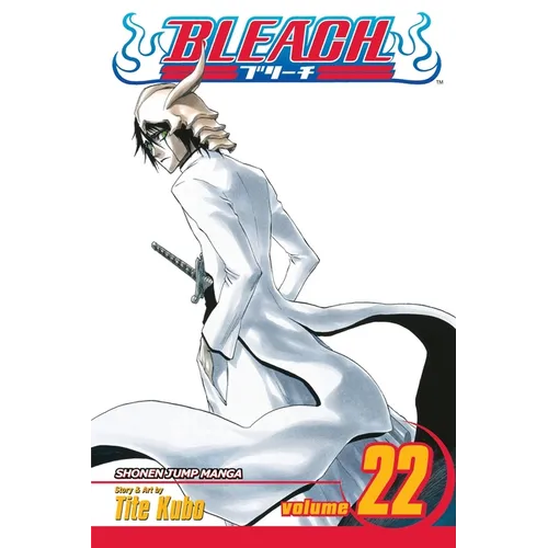 Bleach, Vol. 22: Conquistadores